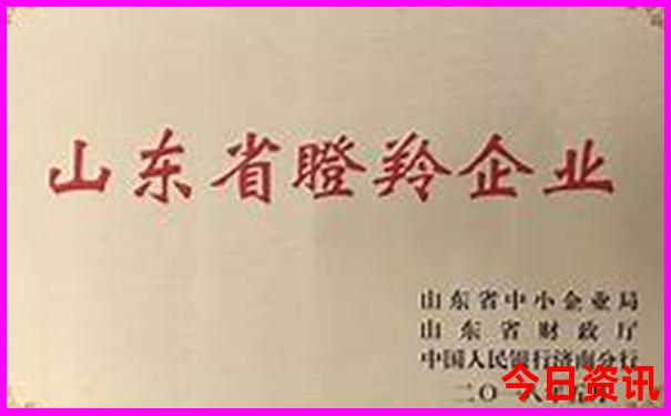 暑假去哪最合适旅游